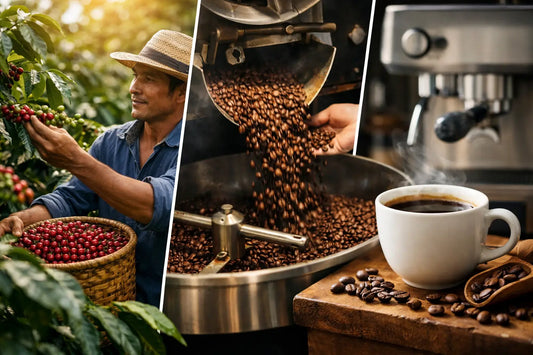 Artisan Coffee Roasting Process, From Farm to Cup